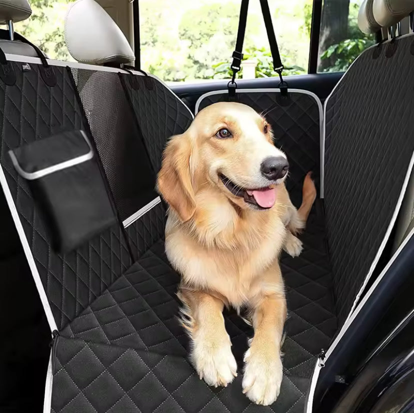 Protection auto premium pour chien
