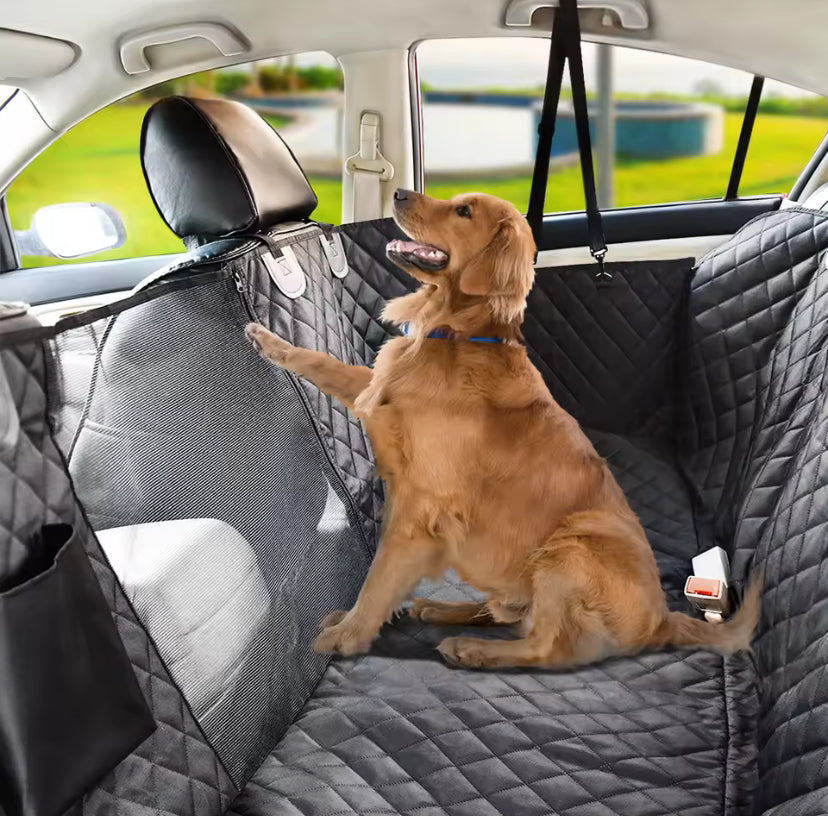 Protection de siège pour chien