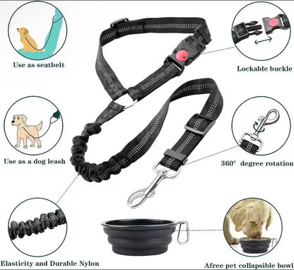Ceinture de sécurité pour chien de haute qualité