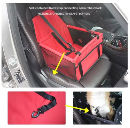 Siège auto chien avec harnais – Idéal petits chiens