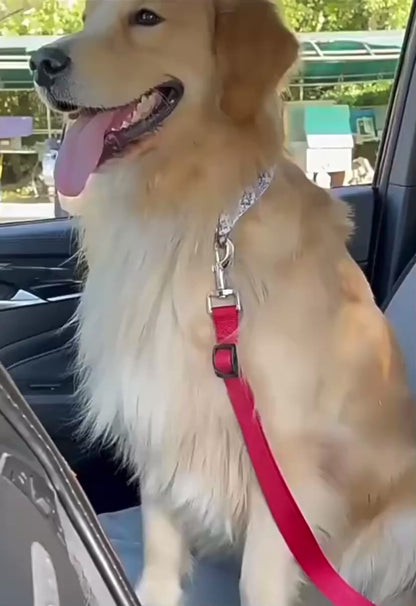 Ceinture de sécurité pour chien voiture – Laisse réglable universelle